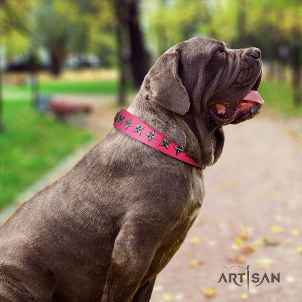 Mastino Napoletano exceptional full grain genuine leather collar with studs for your pet