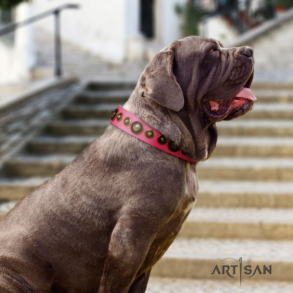 Mastino Napoletano unusual natural genuine leather collar with embellishments for your four-legged friend