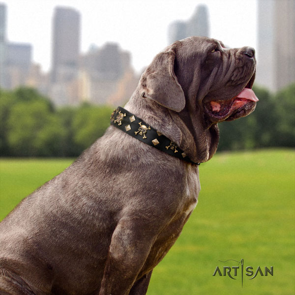 Mastino Napoletano remarkable full grain genuine leather collar with embellishments for your canine