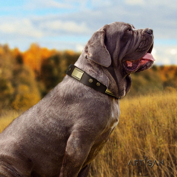 Mastino Napoletano exceptional full grain genuine leather collar with adornments for your pet