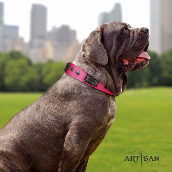 Mastino Napoletano comfortable full grain leather collar with decorations for your four-legged friend