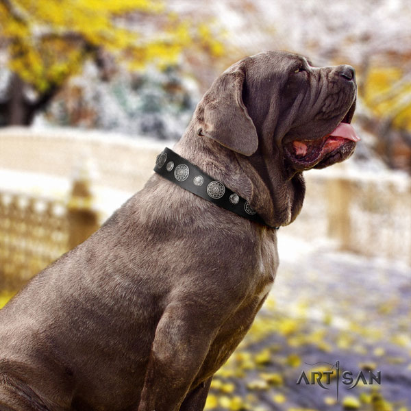 Mastino Napoletano comfortable leather collar with adornments for your doggie