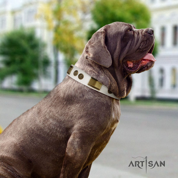 Mastino Napoletano unusual genuine leather collar with embellishments for your four-legged friend