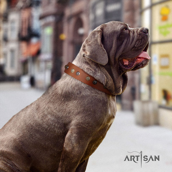 Mastino Napoletano stylish full grain natural leather collar with adornments for your doggie