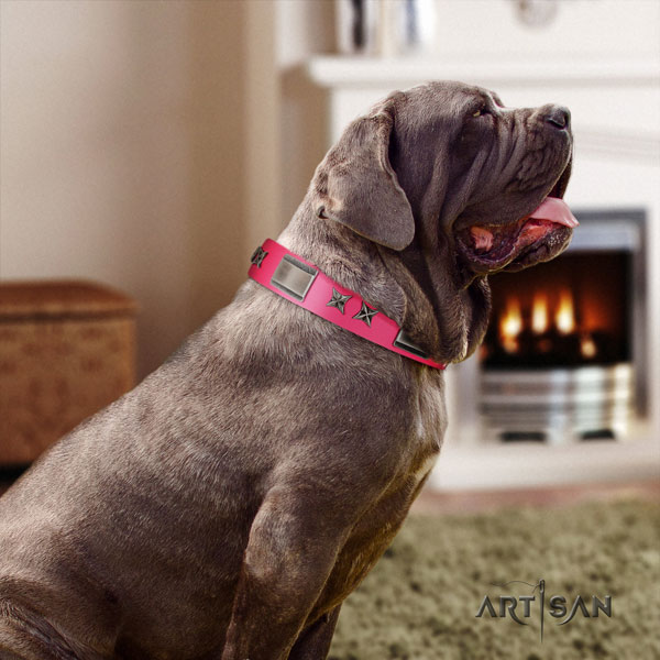 Mastino Napoletano comfortable leather collar with embellishments for your four-legged friend