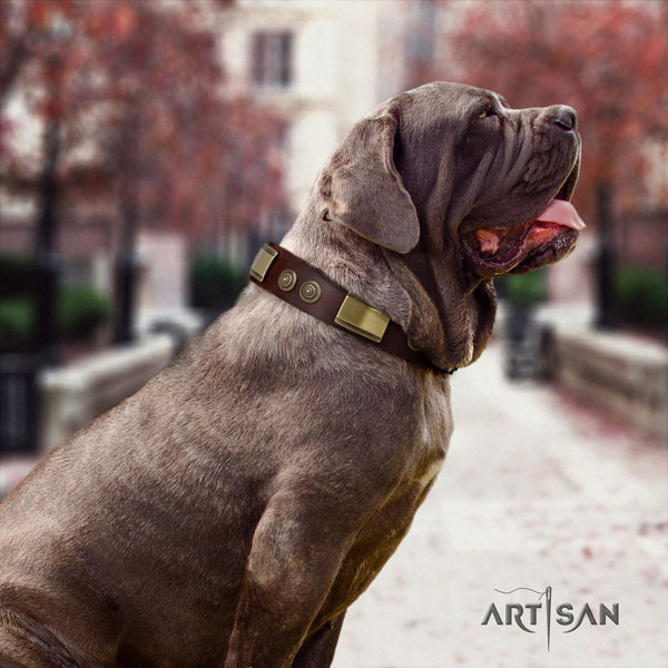 Mastino Napoletano stunning full grain leather collar with decorations for your canine