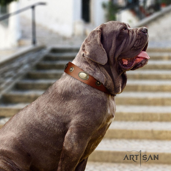 Mastino Napoletano significant full grain leather collar with decorations for your four-legged friend