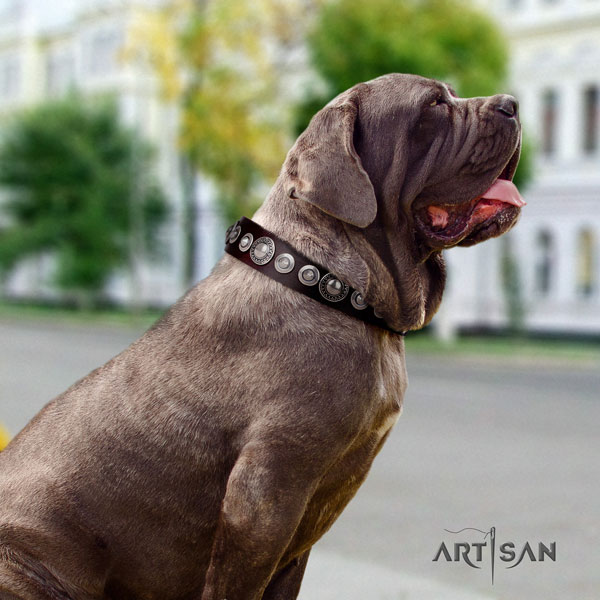 Mastino Napoletano top notch leather collar with adornments for your pet