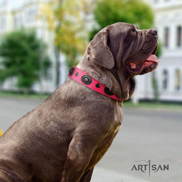 Mastino Napoletano comfortable leather collar with adornments for your four-legged friend