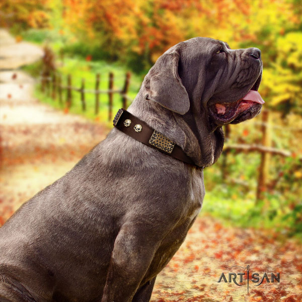 Mastino Napoletano amazing full grain natural leather collar with adornments for your canine