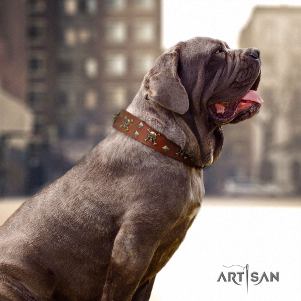 Mastino Napoletano remarkable leather collar with studs for your canine