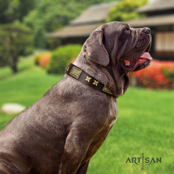 Mastino Napoletano perfect fit genuine leather collar with embellishments for your pet