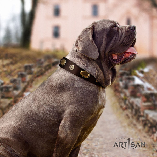 Mastino Napoletano exceptional full grain leather collar with adornments for your pet