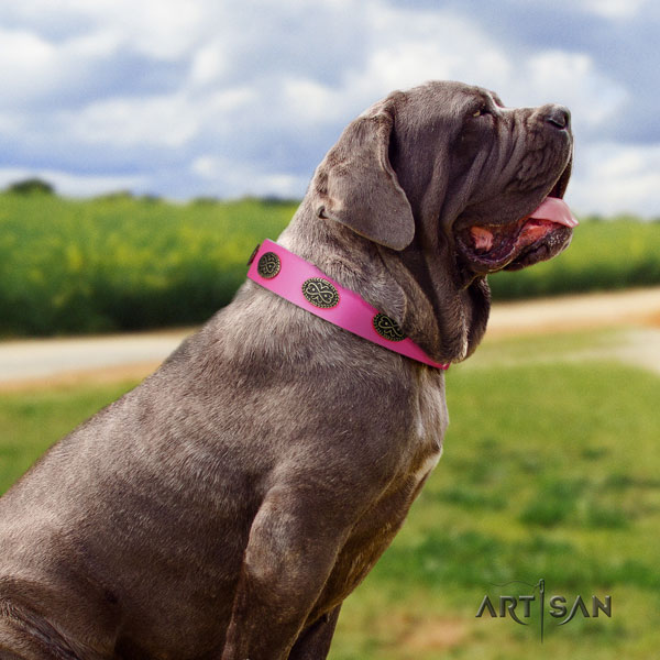 Mastino Napoletano fine quality natural genuine leather collar with studs for your doggie