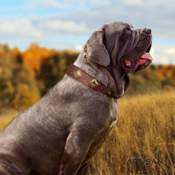 Mastino Napoletano unique leather collar with adornments for your four-legged friend