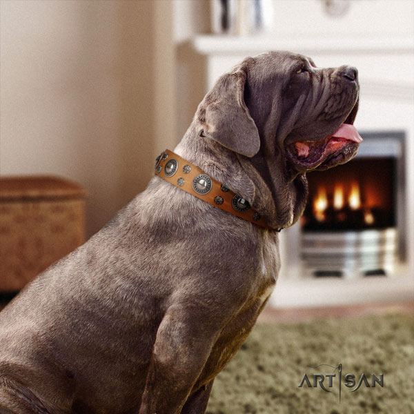 Mastino Napoletano designer natural genuine leather collar with studs for your four-legged friend