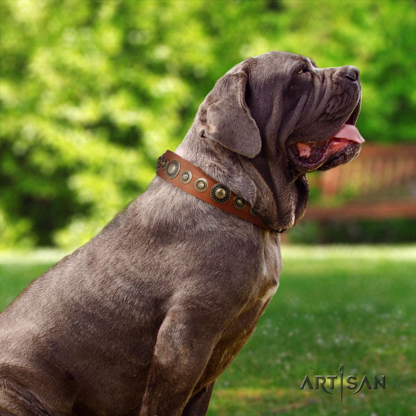 Mastino Napoletano fine quality full grain natural leather collar with decorations for your doggie