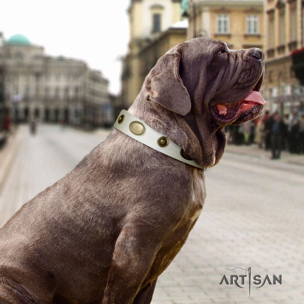 Mastino Napoletano top notch full grain natural leather collar with studs for your pet