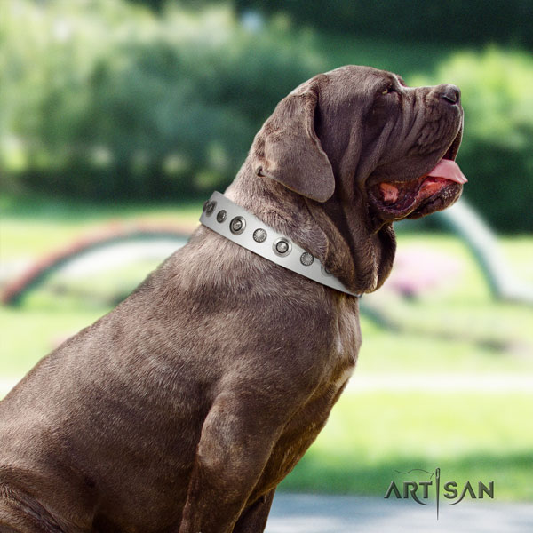 Mastino Napoletano handcrafted full grain genuine leather collar with embellishments for your doggie