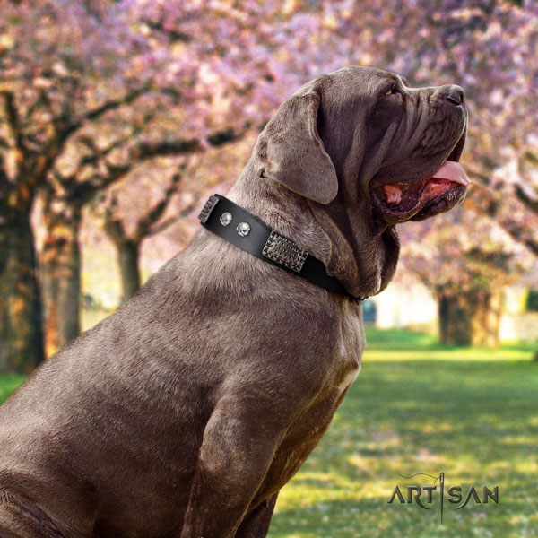 Mastino Napoletano exquisite full grain genuine leather collar with decorations for your dog