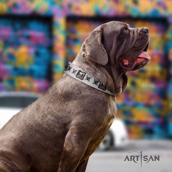 Mastino Napoletano top quality full grain genuine leather collar with embellishments for your doggie