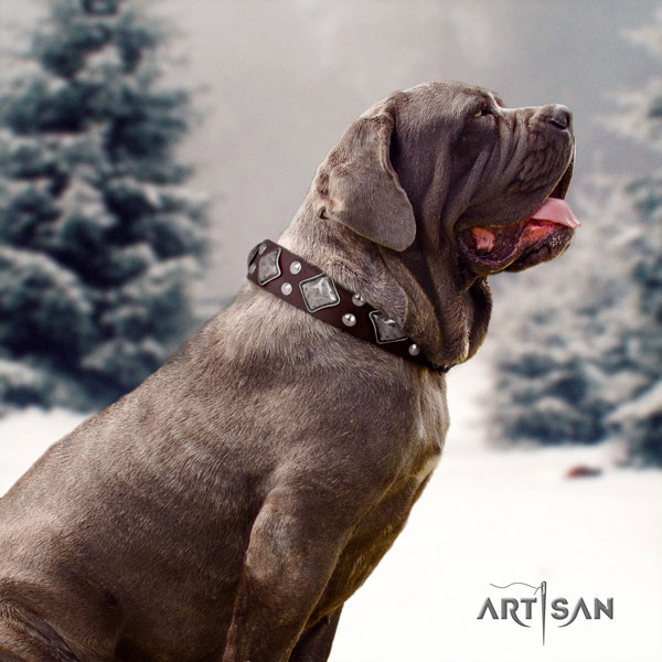 Mastino Napoletano convenient leather collar with adornments for your dog