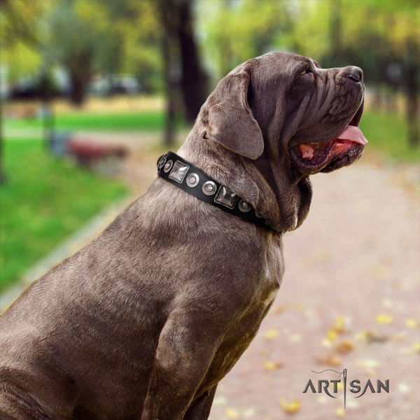 Mastino Napoletano handcrafted full grain natural leather collar with studs for your canine