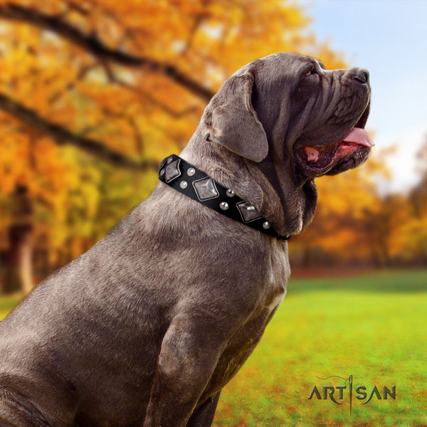 Mastino Napoletano inimitable genuine leather collar with adornments for your dog