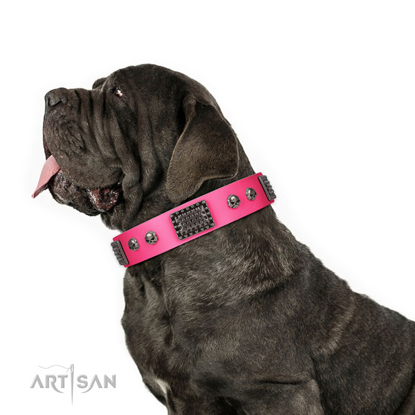 Stunning full grain genuine leather collar for your impressive dog