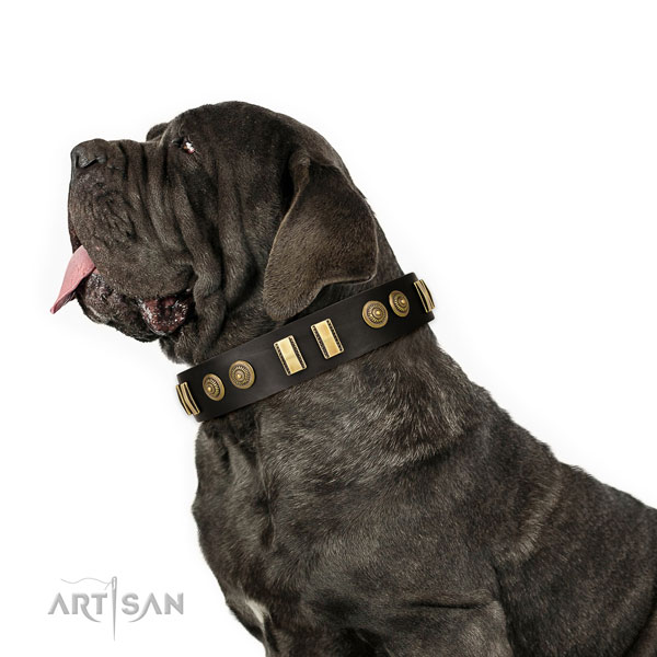 Reliable fittings on full grain natural leather dog collar for walking