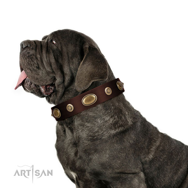 Basic training dog collar of genuine leather with fashionable decorations