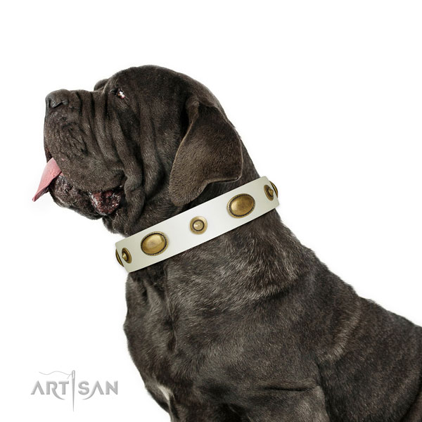 Basic training dog collar of natural leather with extraordinary decorations