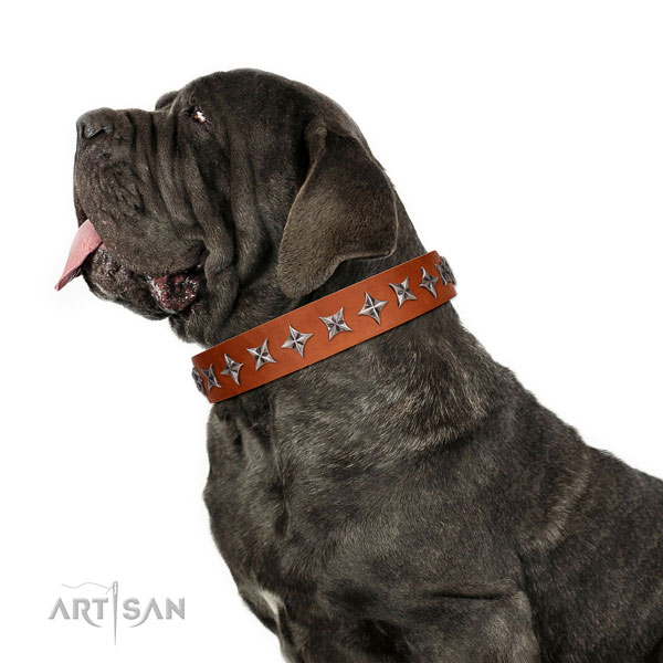 Comfortable wearing embellished dog collar of reliable leather