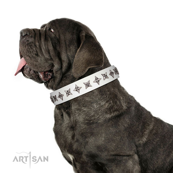 Finest quality full grain leather dog collar with exceptional studs
