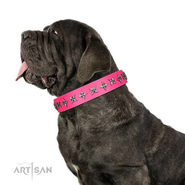 Top quality full grain natural leather dog collar with inimitable adornments
