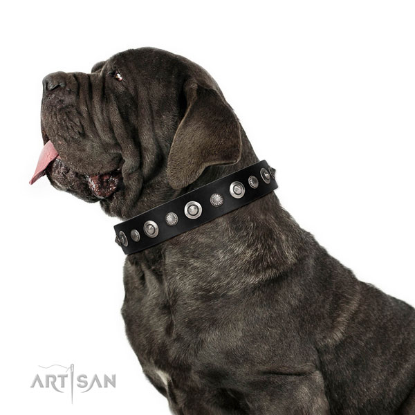 Durable genuine leather dog collar with top notch decorations