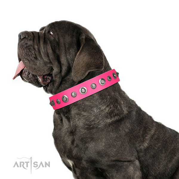 Full grain natural leather collar with corrosion resistant fittings for your beautiful four-legged friend