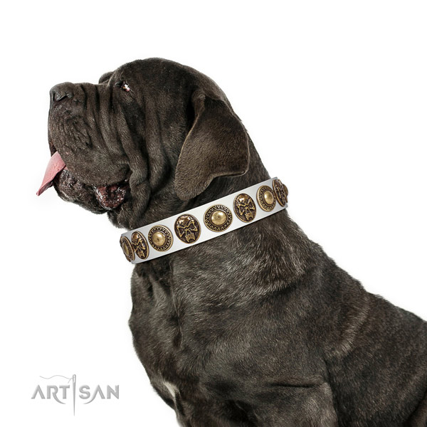 Best quality genuine leather collar for your lovely four-legged friend