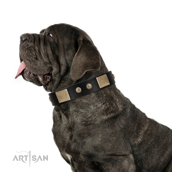 Extraordinary genuine leather collar for your lovely pet