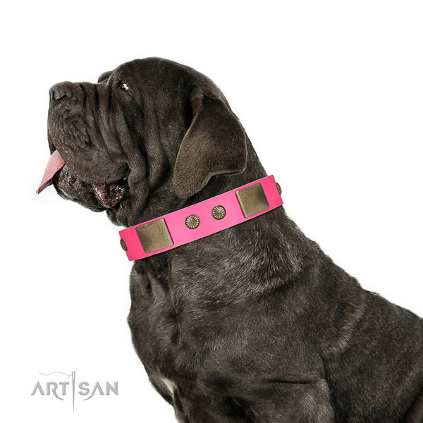 Reliable fittings on full grain natural leather dog collar for easy wearing