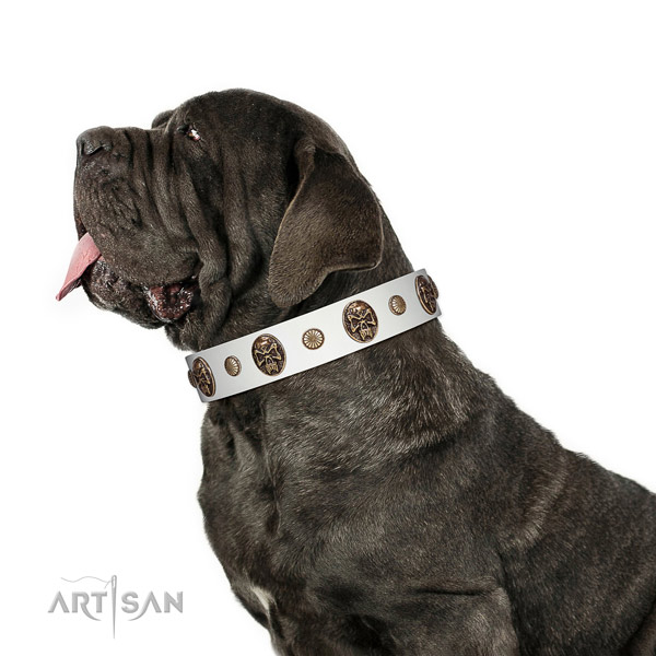 Leather dog collar with fashionable decorations