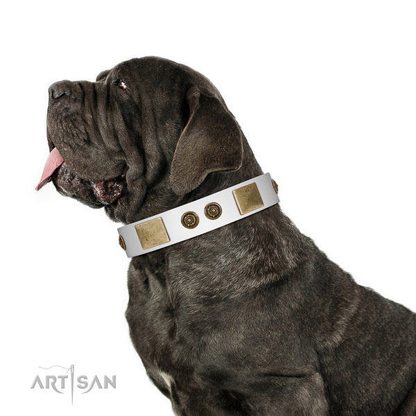 Fine quality dog collar created for your impressive four-legged friend