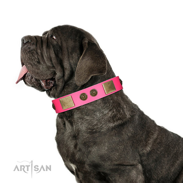 Top quality dog collar made for your impressive four-legged friend