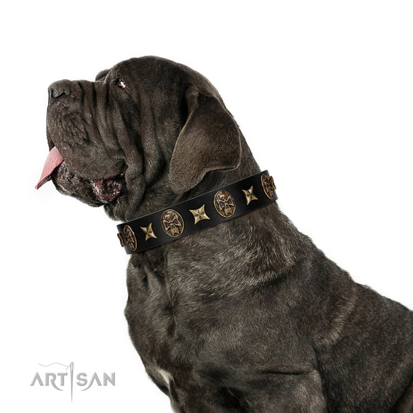 Walking dog collar of genuine leather with amazing adornments