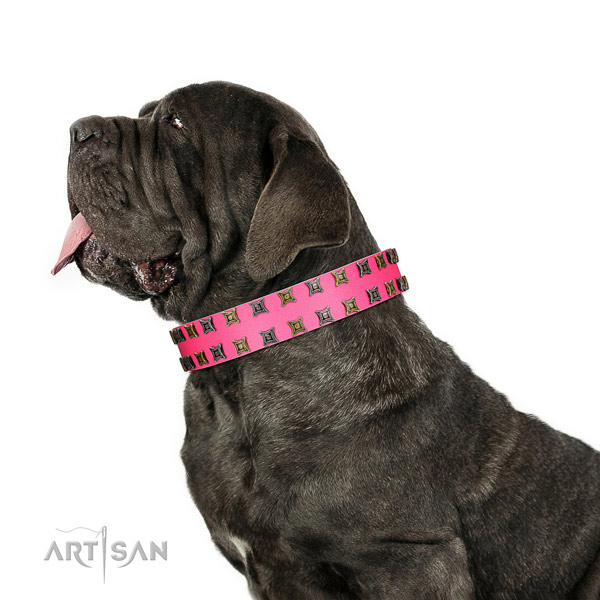 Reliable full grain leather dog collar with studs for your canine