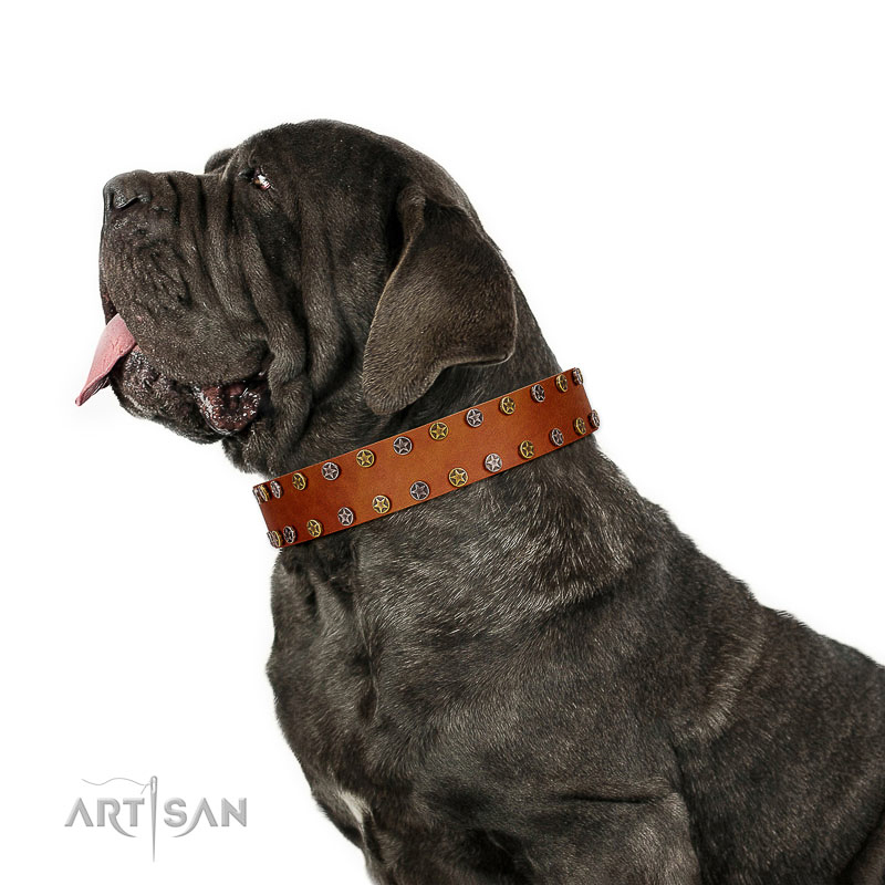 Splendid Armor Premium Quality FDT Artisan Tan Designer Dog Collar