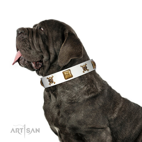 Fashionable genuine leather dog collar with corrosion resistant embellishments