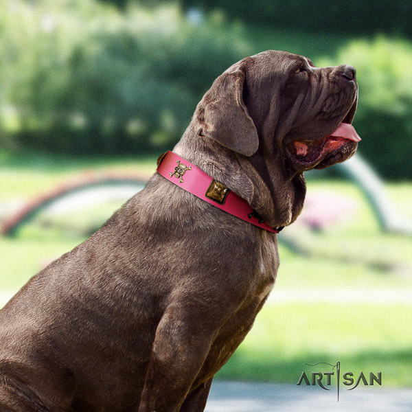 Mastino Neapoletano designer embellished leather dog collar for comfortable wearing