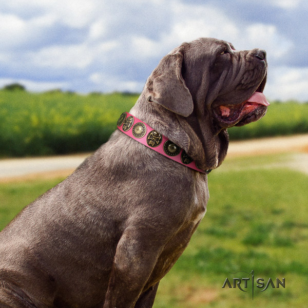 Mastino Neapoletano exceptional embellished full grain leather dog collar for stylish walking