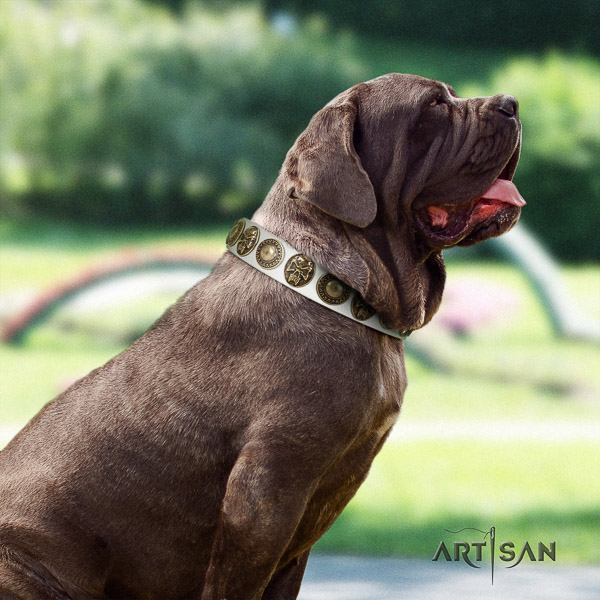 Mastino Neapoletano exceptional decorated genuine leather dog collar for comfortable wearing